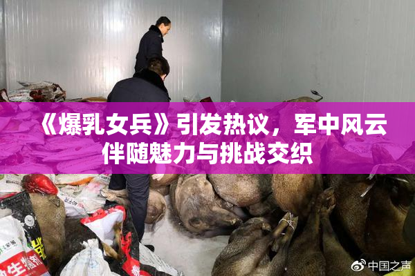 《爆乳女兵》引发热议，军中风云伴随魅力与挑战交织