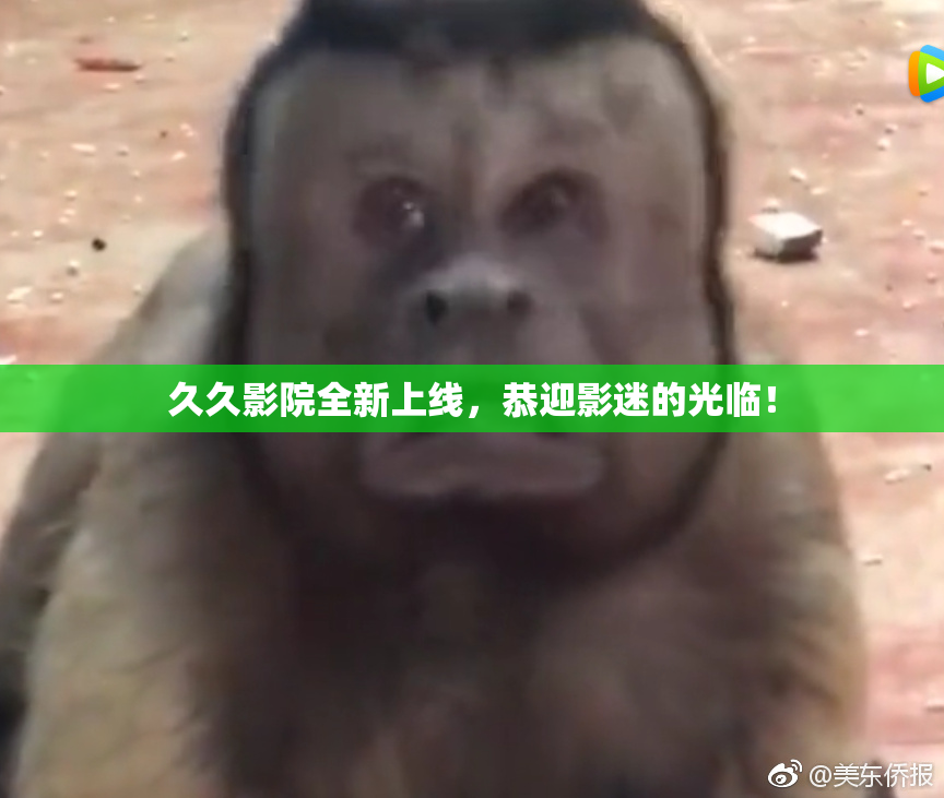 久久影院全新上线，恭迎影迷的光临！