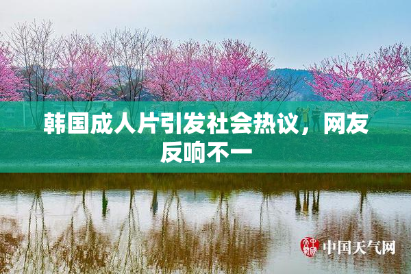 韩国成人片引发社会热议，网友反响不一