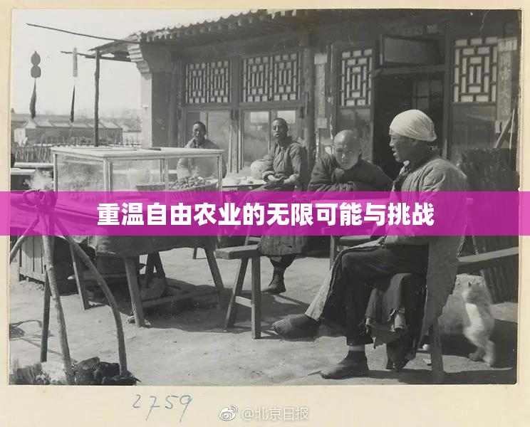 重温自由农业的无限可能与挑战