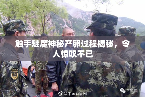 触手魅魔神秘产卵过程揭秘，令人惊叹不已