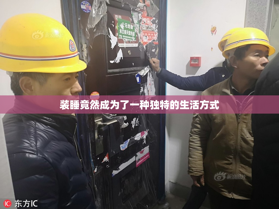 装睡竟然成为了一种独特的生活方式