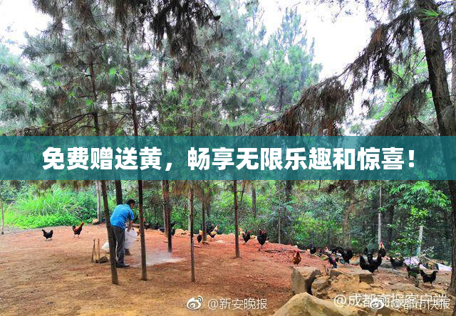 免费赠送黄，畅享无限乐趣和惊喜！