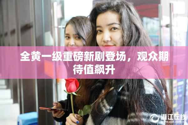 全黄一级重磅新剧登场，观众期待值飙升