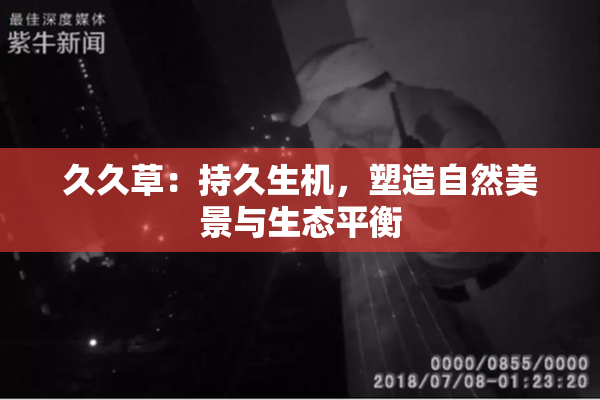 久久草：持久生机，塑造自然美景与生态平衡