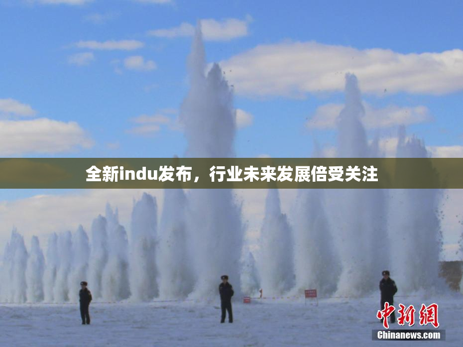全新indu发布，行业未来发展倍受关注