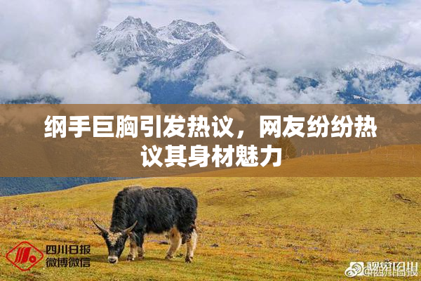 纲手巨胸引发热议，网友纷纷热议其身材魅力