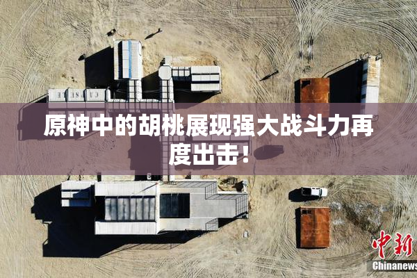 原神中的胡桃展现强大战斗力再度出击！