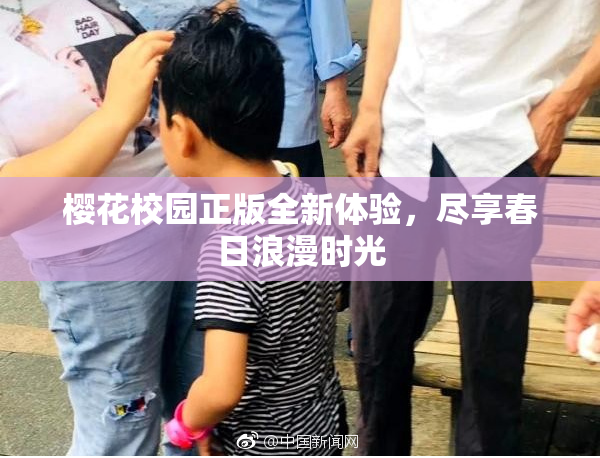 樱花校园正版全新体验，尽享春日浪漫时光