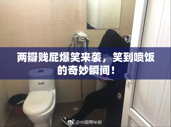 两瓣贱屁爆笑来袭，笑到喷饭的奇妙瞬间！