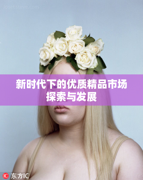 新时代下的优质精品市场探索与发展