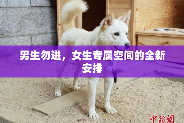 男生勿进，女生专属空间的全新安排