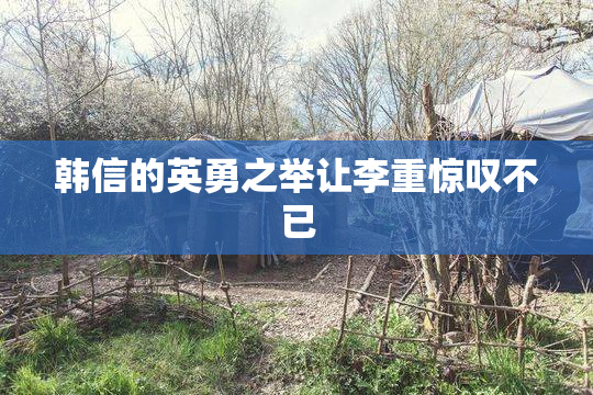 韩信的英勇之举让李重惊叹不已