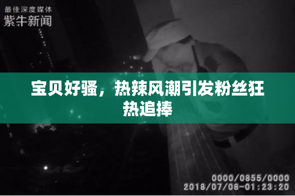 宝贝好骚，热辣风潮引发粉丝狂热追捧