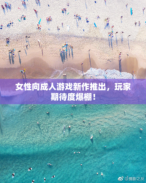 女性向成人游戏新作推出，玩家期待度爆棚！