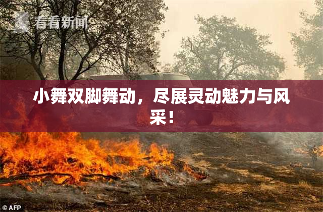 小舞双脚舞动，尽展灵动魅力与风采！