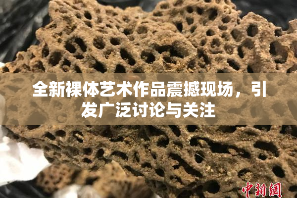 全新裸体艺术作品震撼现场，引发广泛讨论与关注
