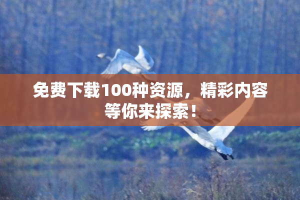 免费下载100种资源，精彩内容等你来探索！