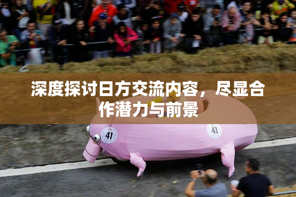 深度探讨日方交流内容，尽显合作潜力与前景