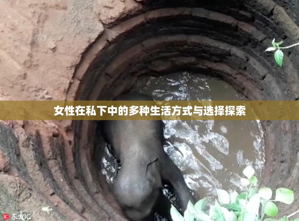 女性在私下中的多种生活方式与选择探索