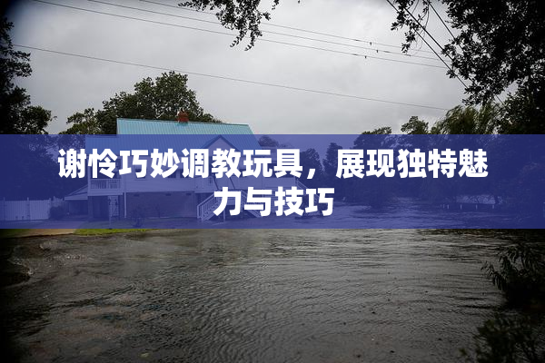 谢怜巧妙调教玩具，展现独特魅力与技巧