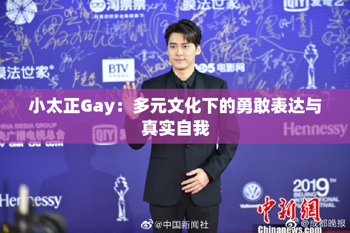 小太正Gay：多元文化下的勇敢表达与真实自我