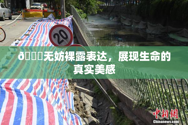 🔞无妨裸露表达，展现生命的真实美感