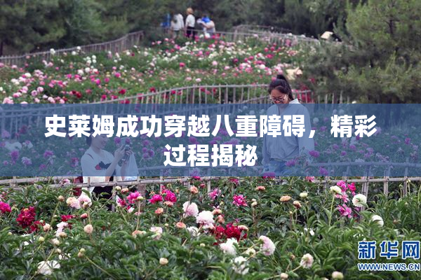 史莱姆成功穿越八重障碍，精彩过程揭秘