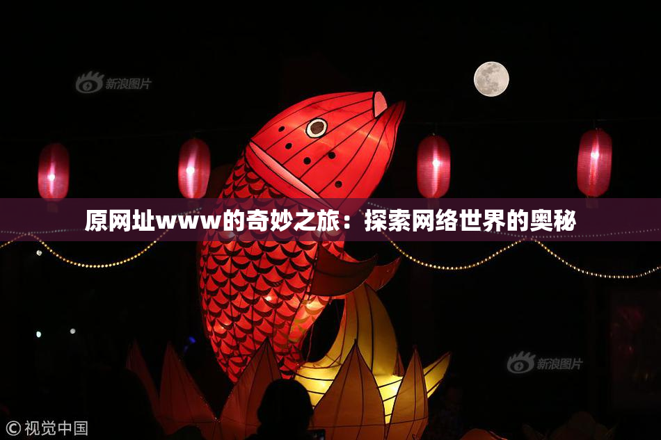 原网址www的奇妙之旅：探索网络世界的奥秘