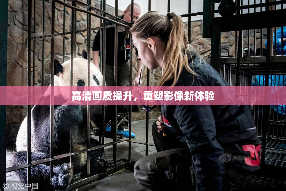 高清画质提升，重塑影像新体验