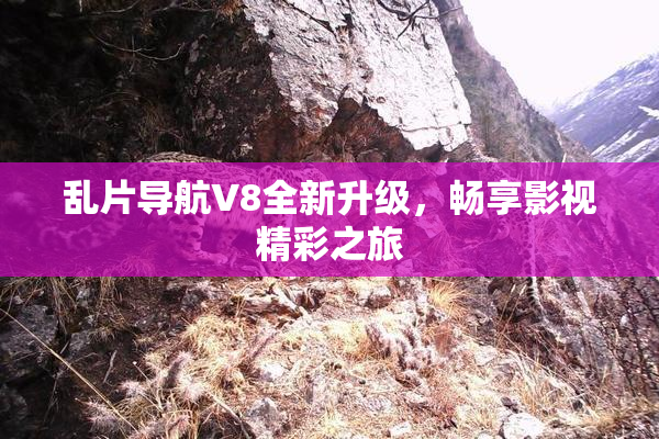 乱片导航V8全新升级，畅享影视精彩之旅