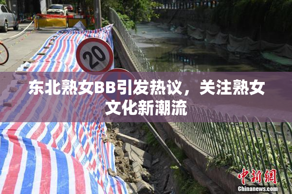 东北熟女BB引发热议，关注熟女文化新潮流