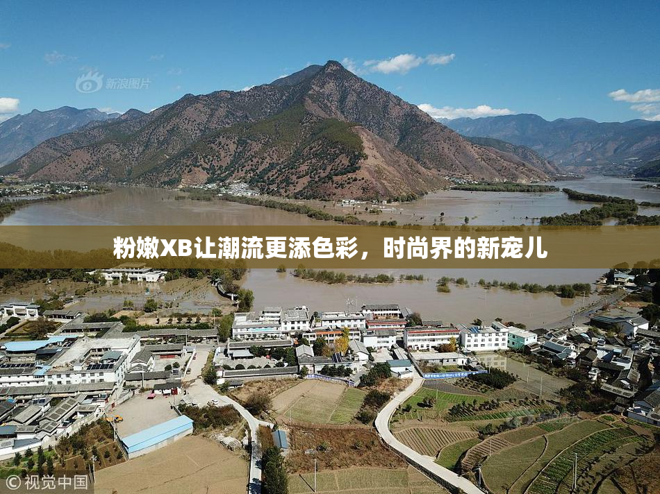 粉嫩XB让潮流更添色彩，时尚界的新宠儿