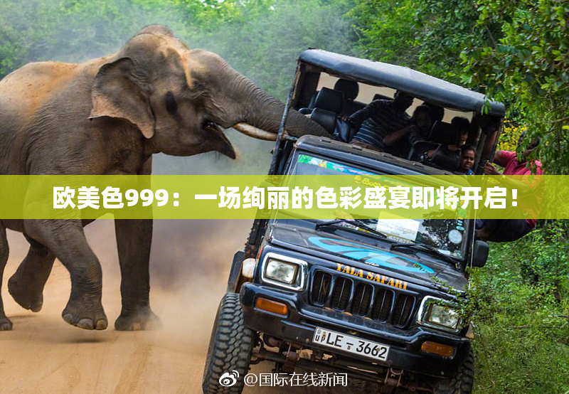 欧美色999：一场绚丽的色彩盛宴即将开启！