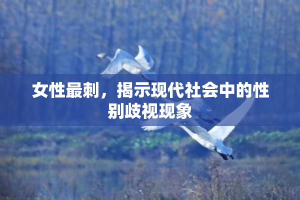 女性最刺，揭示现代社会中的性别歧视现象