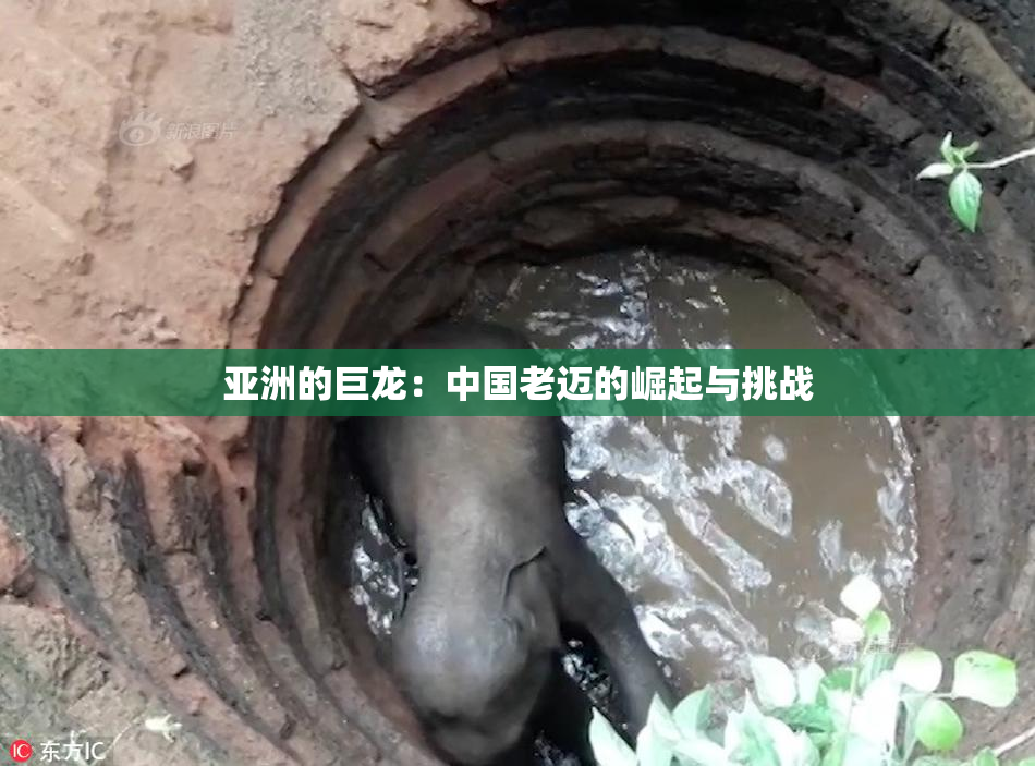 亚洲的巨龙：中国老迈的崛起与挑战