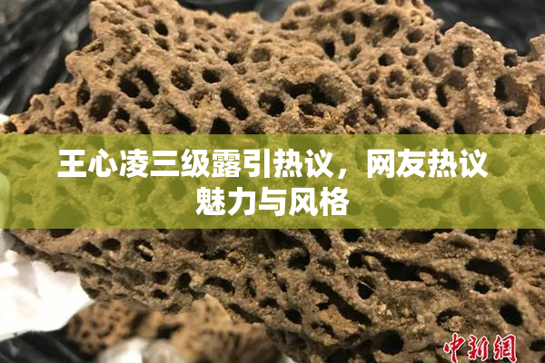 王心凌三级露引热议，网友热议魅力与风格