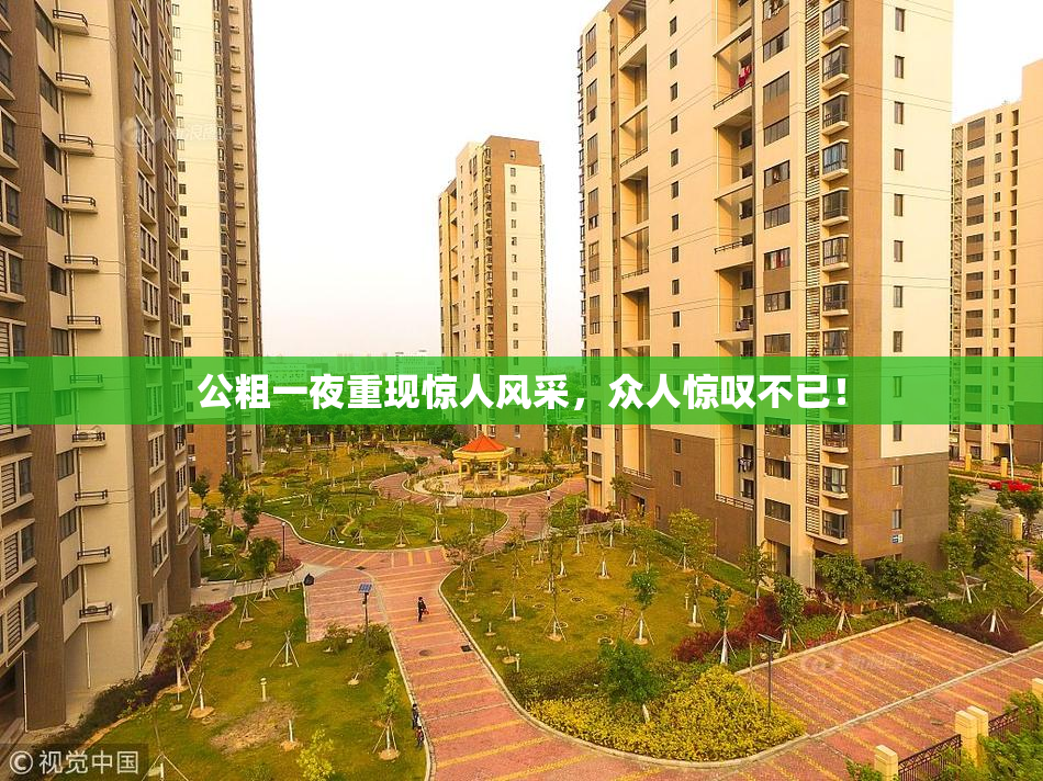 公粗一夜重现惊人风采，众人惊叹不已！