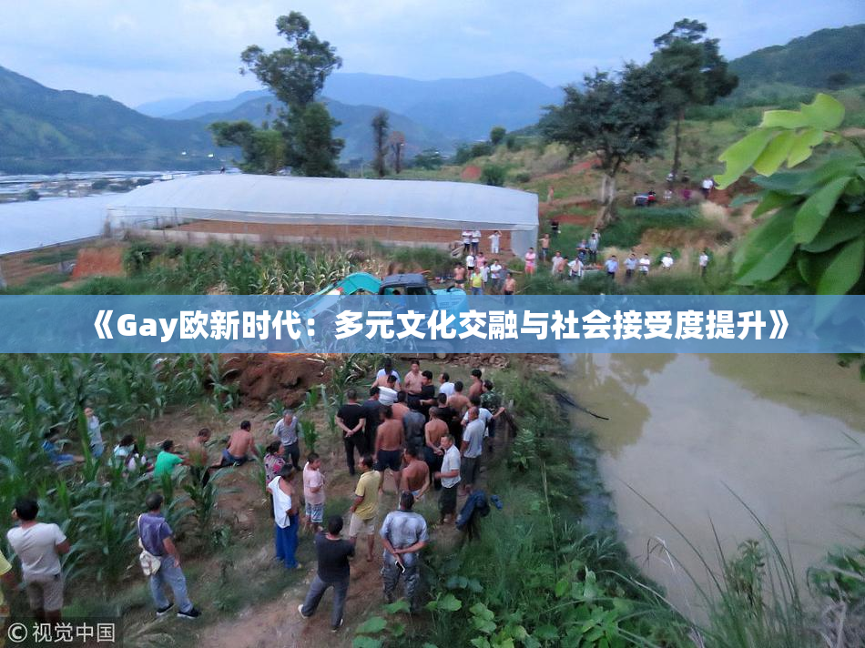《Gay欧新时代：多元文化交融与社会接受度提升》