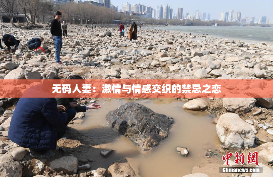 无码人妻：激情与情感交织的禁忌之恋