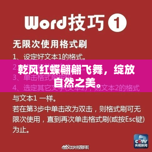 乾风红蝶翩翩飞舞，绽放自然之美。