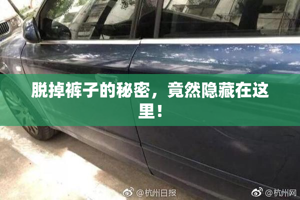 脱掉裤子的秘密，竟然隐藏在这里！