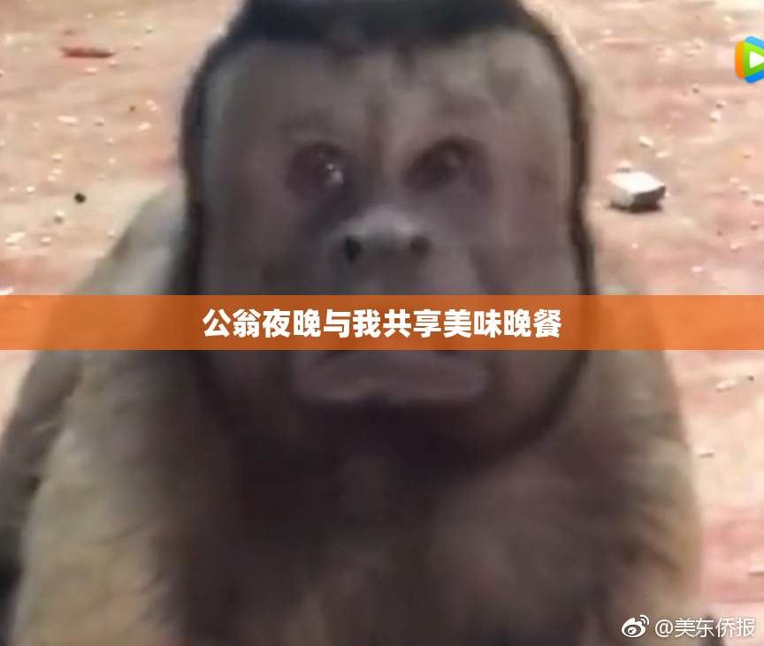 公翁夜晚与我共享美味晚餐