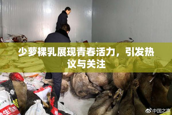 少萝裸乳展现青春活力，引发热议与关注