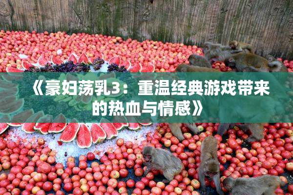《豪妇荡乳3：重温经典游戏带来的热血与情感》