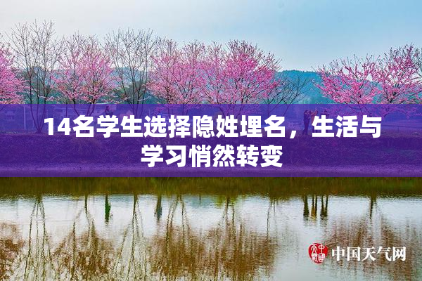 14名学生选择隐姓埋名，生活与学习悄然转变