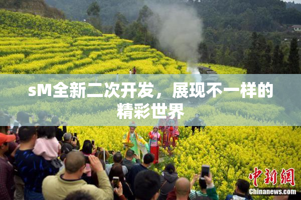 sM全新二次开发，展现不一样的精彩世界