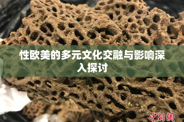性欧美的多元文化交融与影响深入探讨