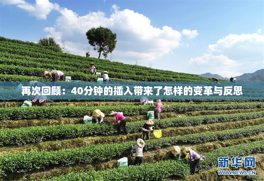 再次回顾：40分钟的插入带来了怎样的变革与反思
