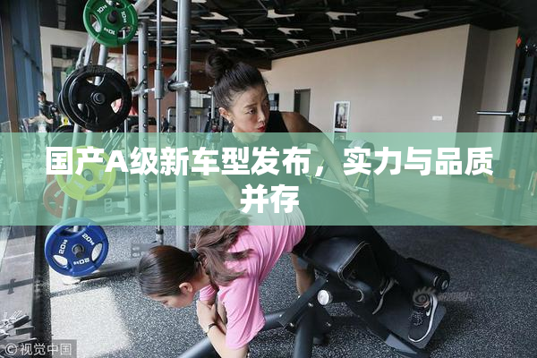国产A级新车型发布，实力与品质并存